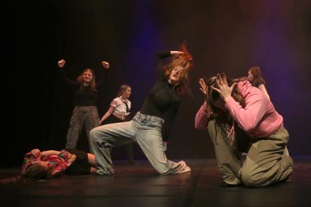 PLESNO POPOTOVANJE 47 FOTO LJUBO VUKELIČ